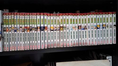 Hunter serie manga - x,
